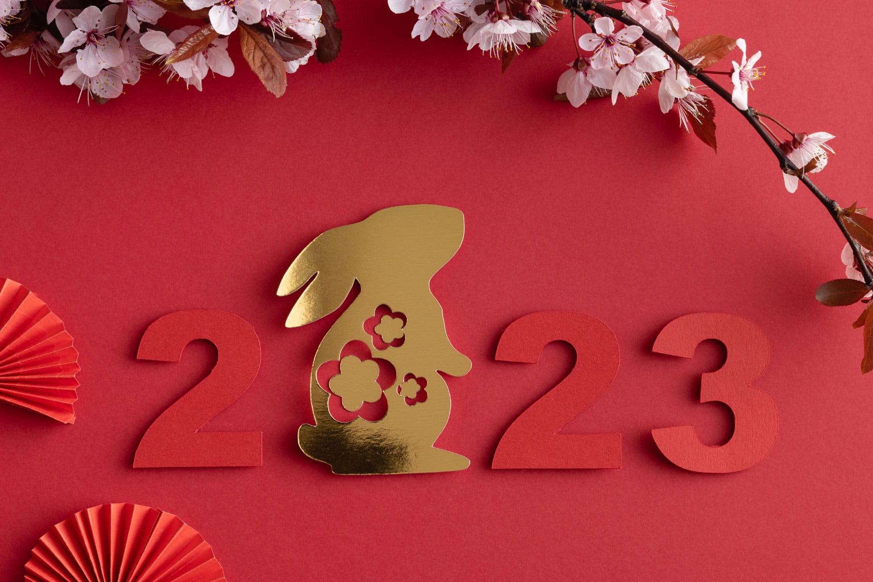 Chinese New Year predictions: What to expect in 2023